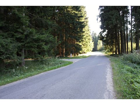 Foto 21